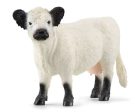 SCHEICH - GALLOWAY COW on Sale