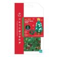 NANOBLOCK CHRISTMAS TREE 323 on Sale