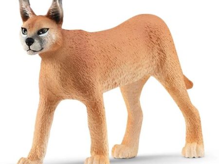 SCHLEICH - CARACAL FEMALE Fashion