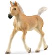 SCHLEICH - HAFLINGER FOAL Discount