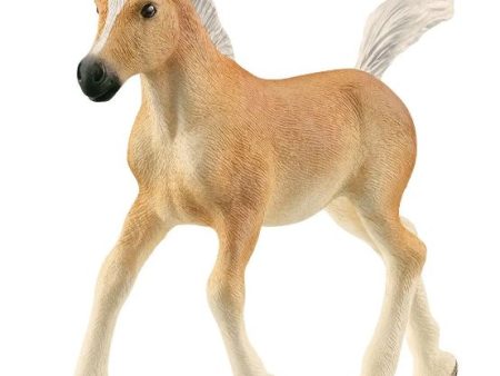 SCHLEICH - HAFLINGER FOAL Discount