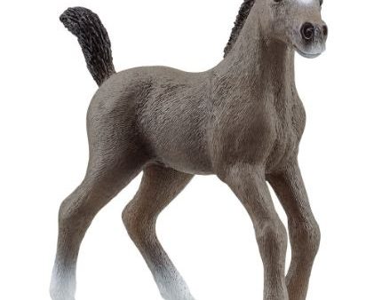 SCHLEICH - SELLE FRANCAIS FOAL Online Hot Sale