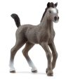 SCHLEICH - SELLE FRANCAIS FOAL Online Hot Sale