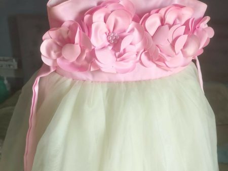 Birthday Party Frock Dress for Baby Girl Online Hot Sale