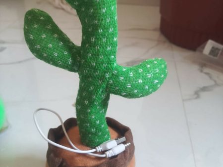 Cactus Toy for Kids on Sale