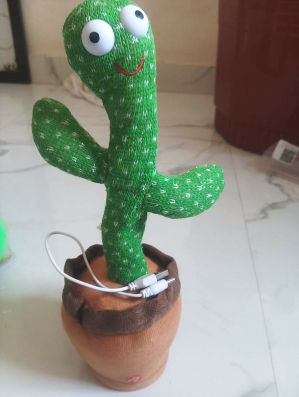 Cactus Toy for Kids on Sale