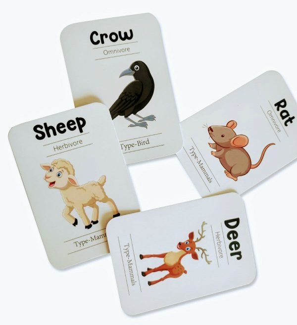 Animals Flash Cards - Pack of 24 Online