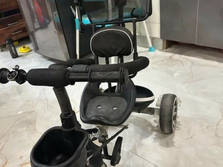 BABYHUG Plug and Play Stallion Tricycle with Parental Push Handle and Folding Canopy Online Hot Sale