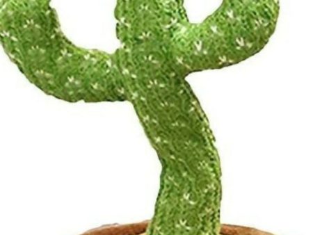 Dancing cactus For Sale