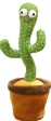 Dancing cactus For Sale