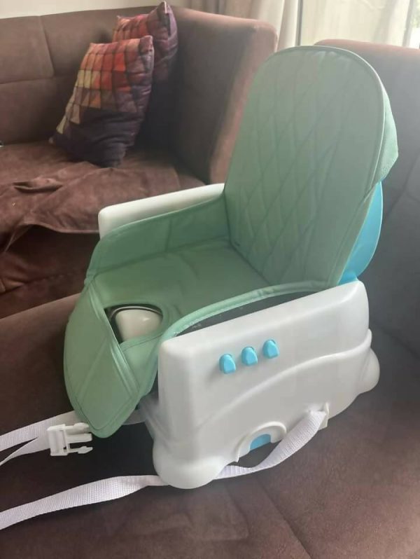 BABYHUG Booster Chair on Sale