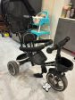 BABYHUG Plug and Play Stallion Tricycle with Parental Push Handle and Folding Canopy Online Hot Sale