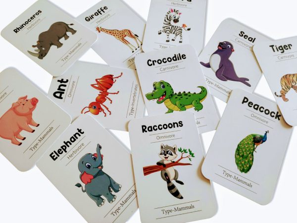 Animals Flash Cards - Pack of 24 Online