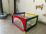 Ball Pool for Baby Online now