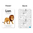 Animals Flash Cards - Pack of 24 Online